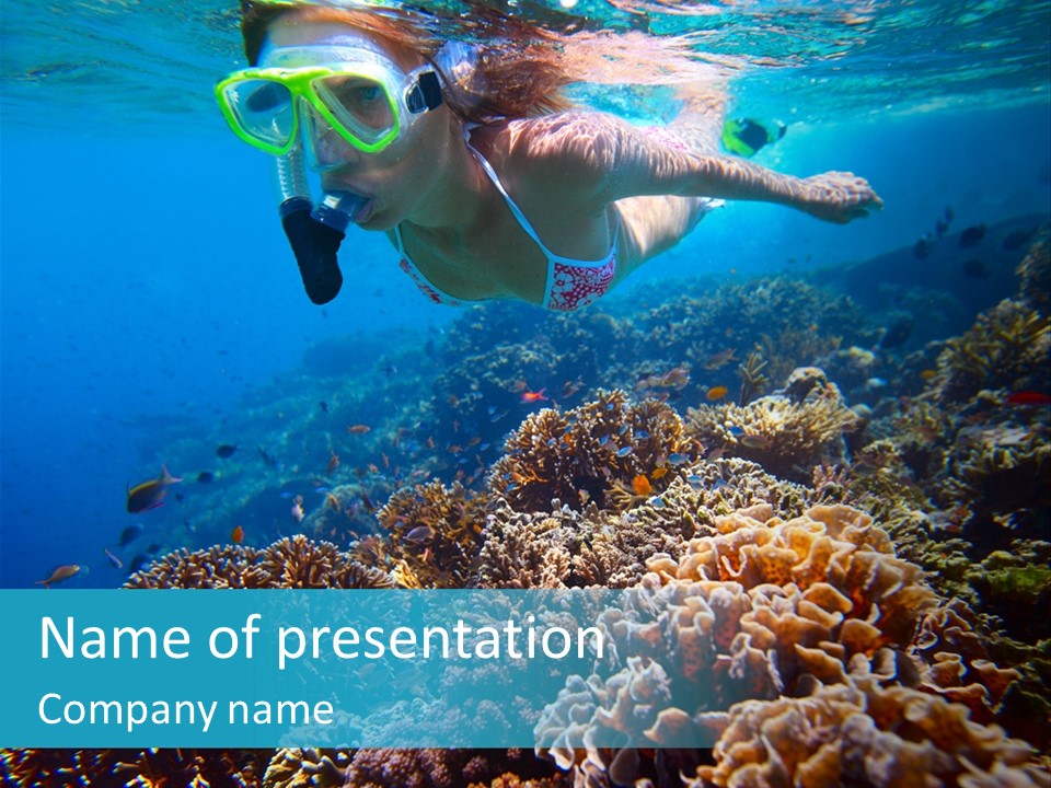 Underwater Clear Sunny PowerPoint Template