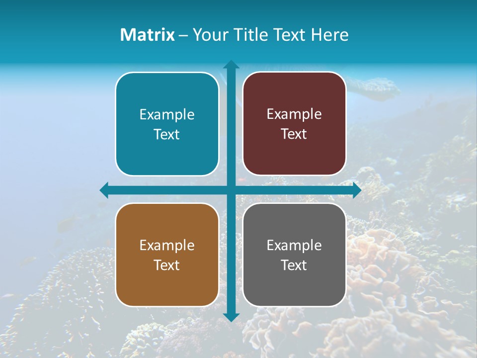 Underwater Clear Sunny PowerPoint Template