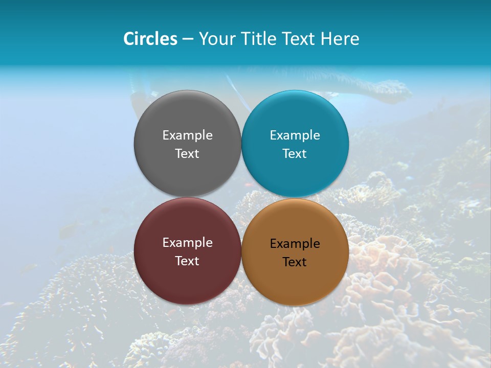 Underwater Clear Sunny PowerPoint Template