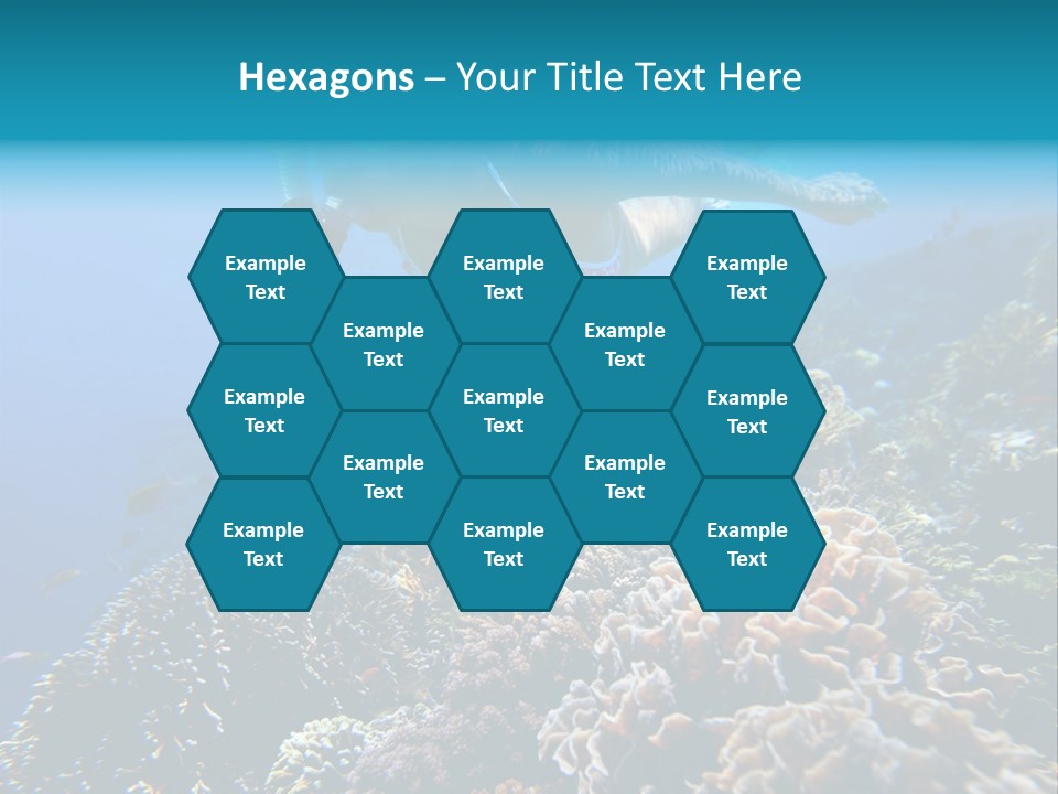 Underwater Clear Sunny PowerPoint Template