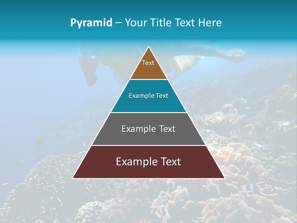 Underwater Clear Sunny PowerPoint Template