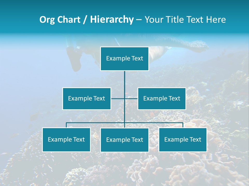 Underwater Clear Sunny PowerPoint Template