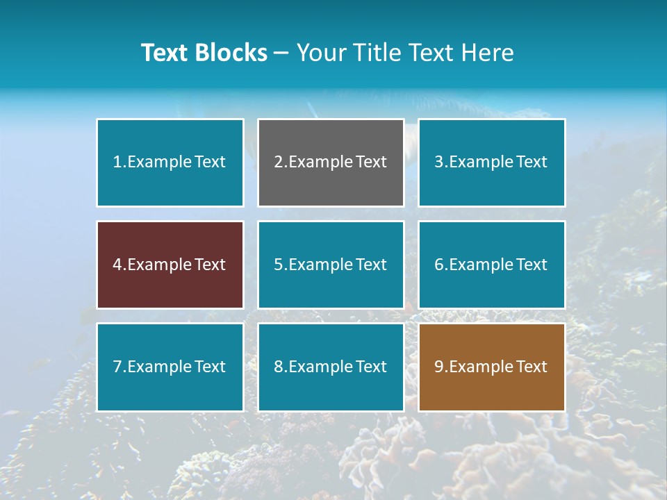 Underwater Clear Sunny PowerPoint Template