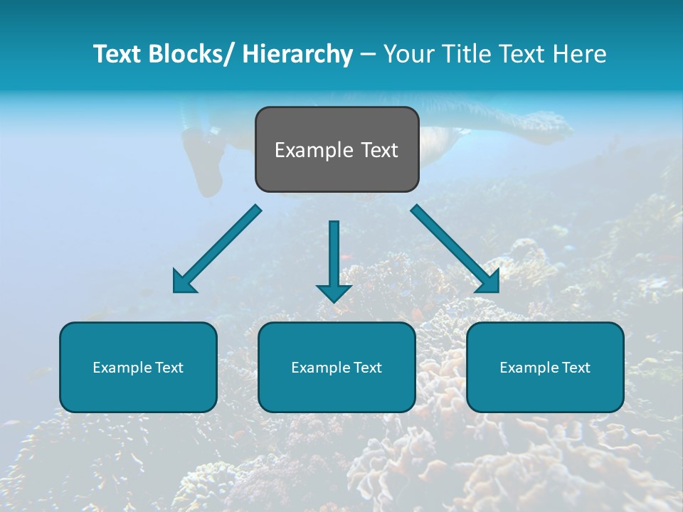 Underwater Clear Sunny PowerPoint Template