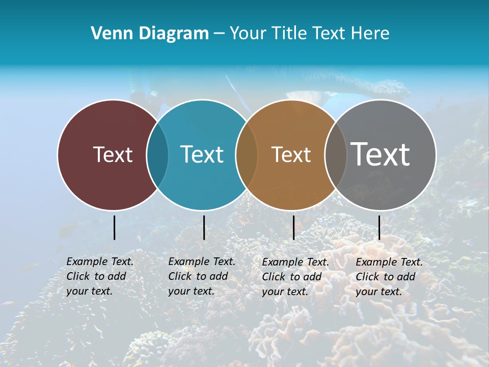 Underwater Clear Sunny PowerPoint Template