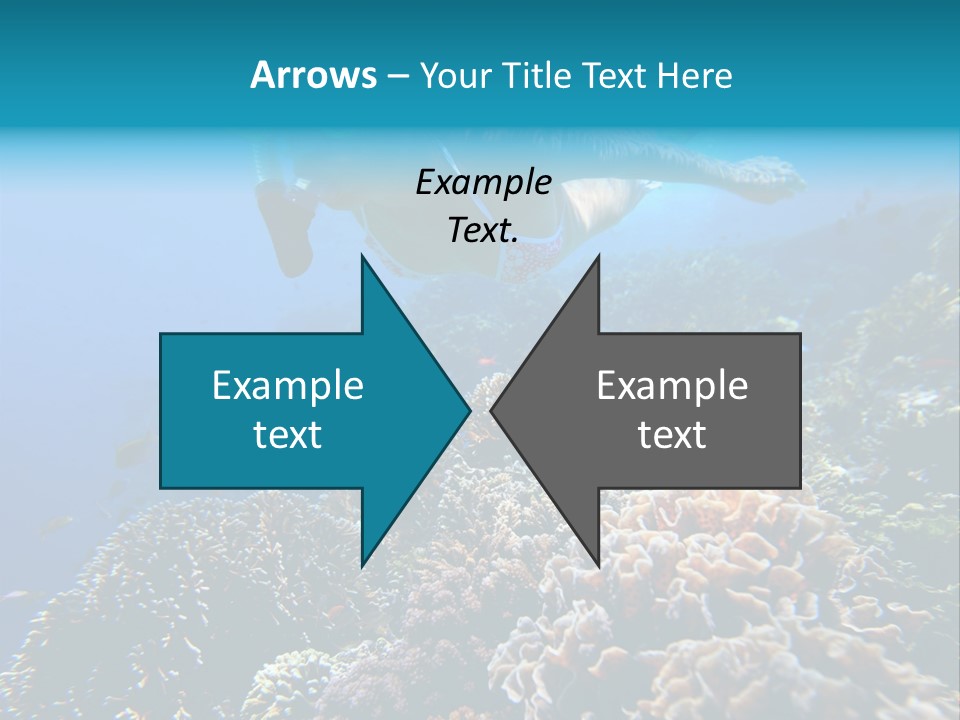 Underwater Clear Sunny PowerPoint Template