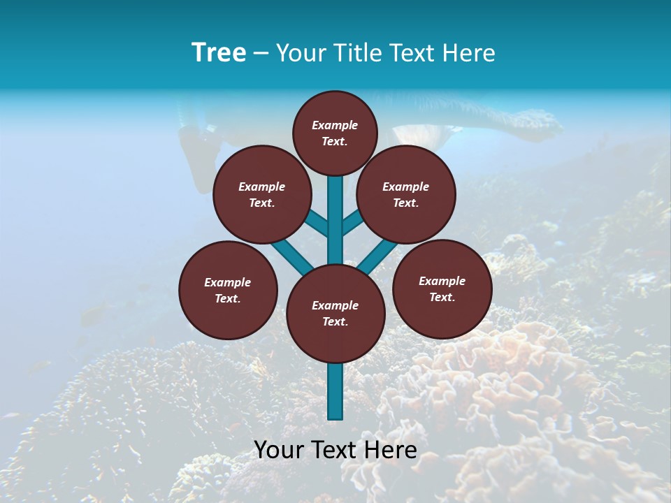 Underwater Clear Sunny PowerPoint Template