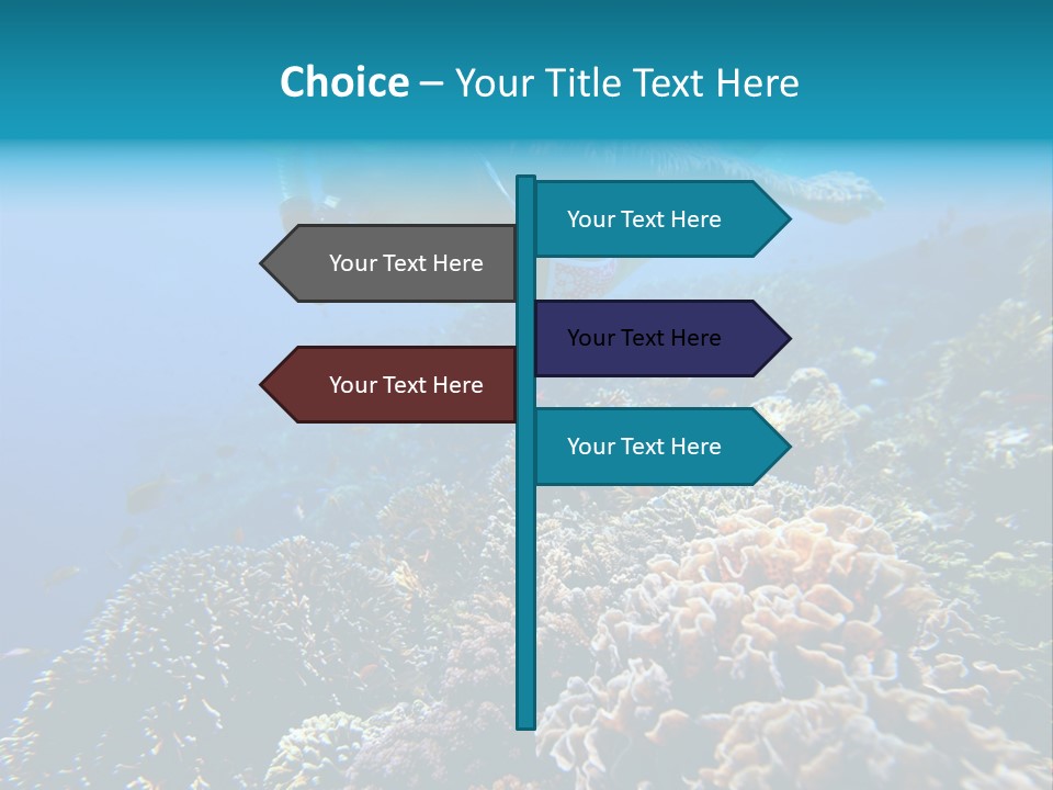 Underwater Clear Sunny PowerPoint Template