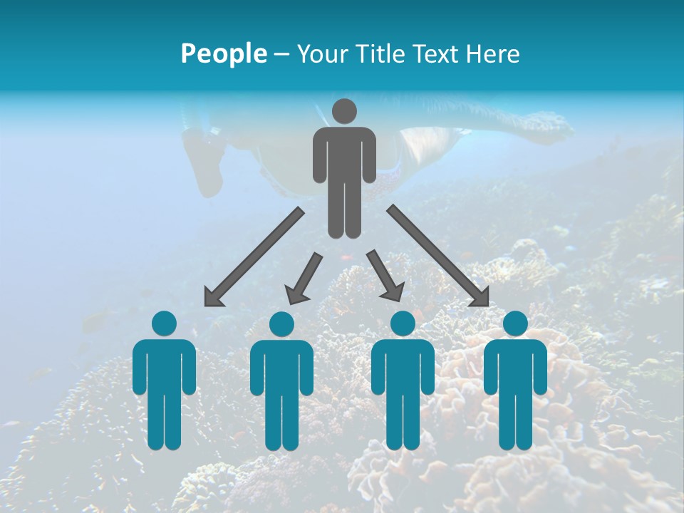 Underwater Clear Sunny PowerPoint Template