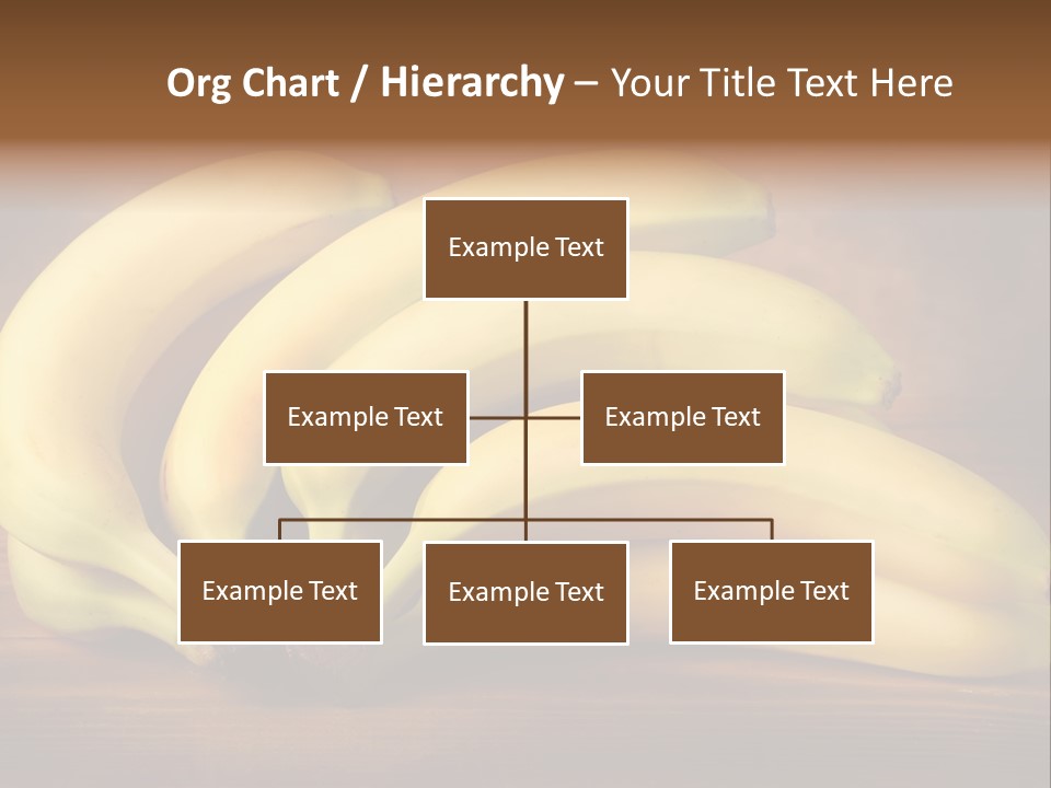 Biological Macedonia Summer PowerPoint Template