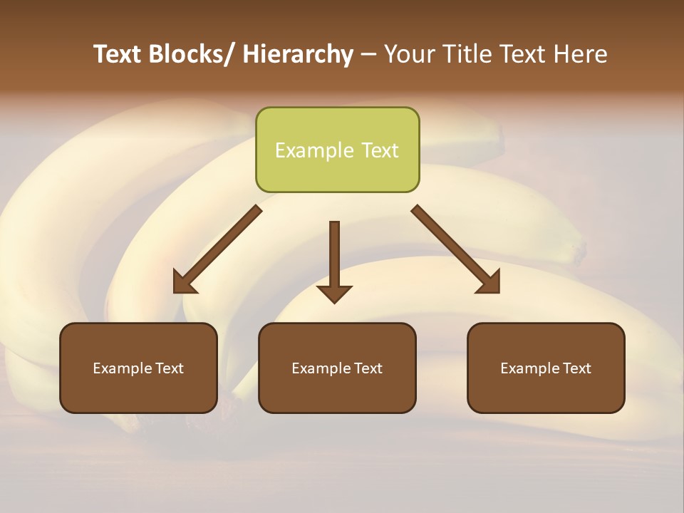 Biological Macedonia Summer PowerPoint Template