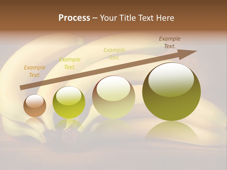 Biological Macedonia Summer PowerPoint Template