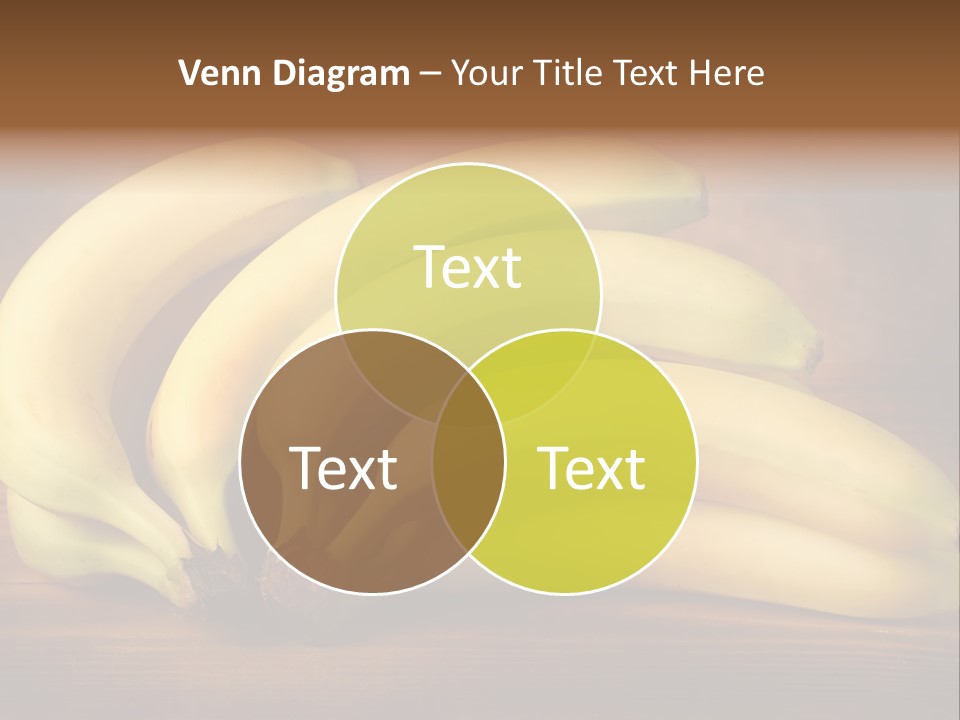 Biological Macedonia Summer PowerPoint Template