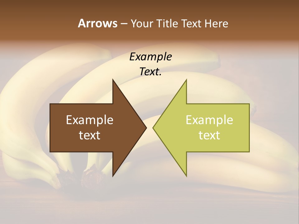 Biological Macedonia Summer PowerPoint Template