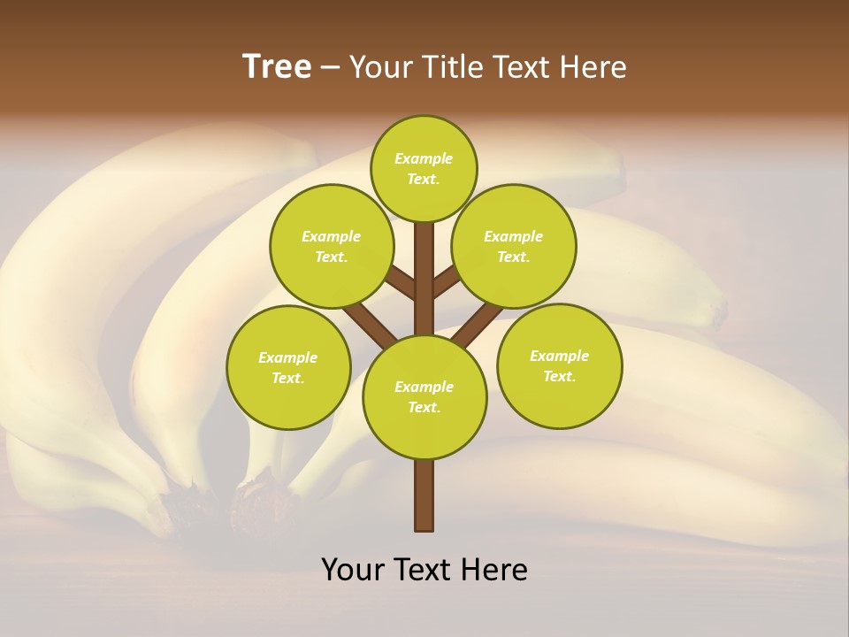 Biological Macedonia Summer PowerPoint Template