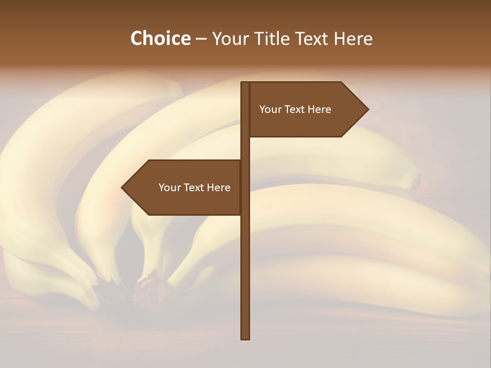 Biological Macedonia Summer PowerPoint Template