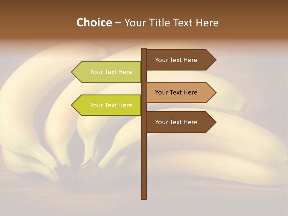 Biological Macedonia Summer PowerPoint Template