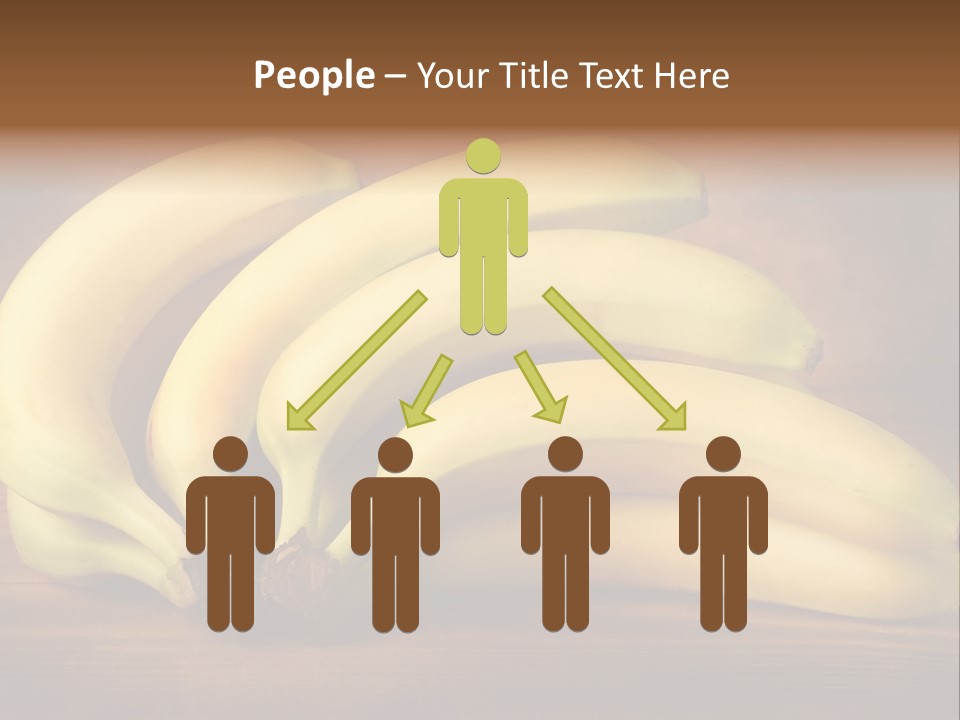 Biological Macedonia Summer PowerPoint Template