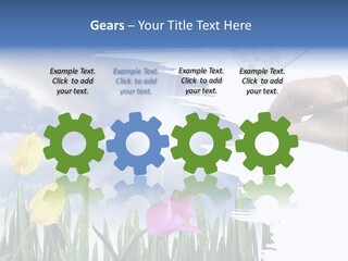 Lilac Paper Flora PowerPoint Template