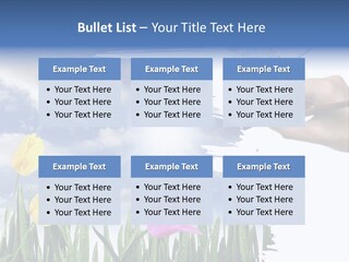 Lilac Paper Flora PowerPoint Template