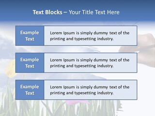 Lilac Paper Flora PowerPoint Template