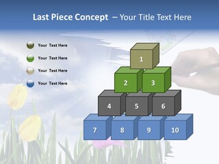Lilac Paper Flora PowerPoint Template