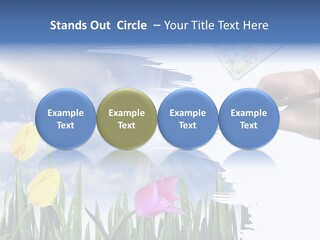 Lilac Paper Flora PowerPoint Template