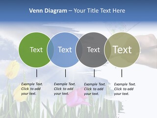Lilac Paper Flora PowerPoint Template