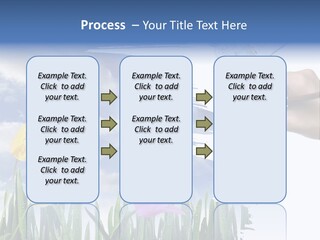 Lilac Paper Flora PowerPoint Template