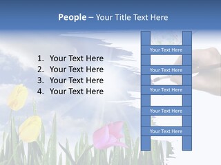 Lilac Paper Flora PowerPoint Template