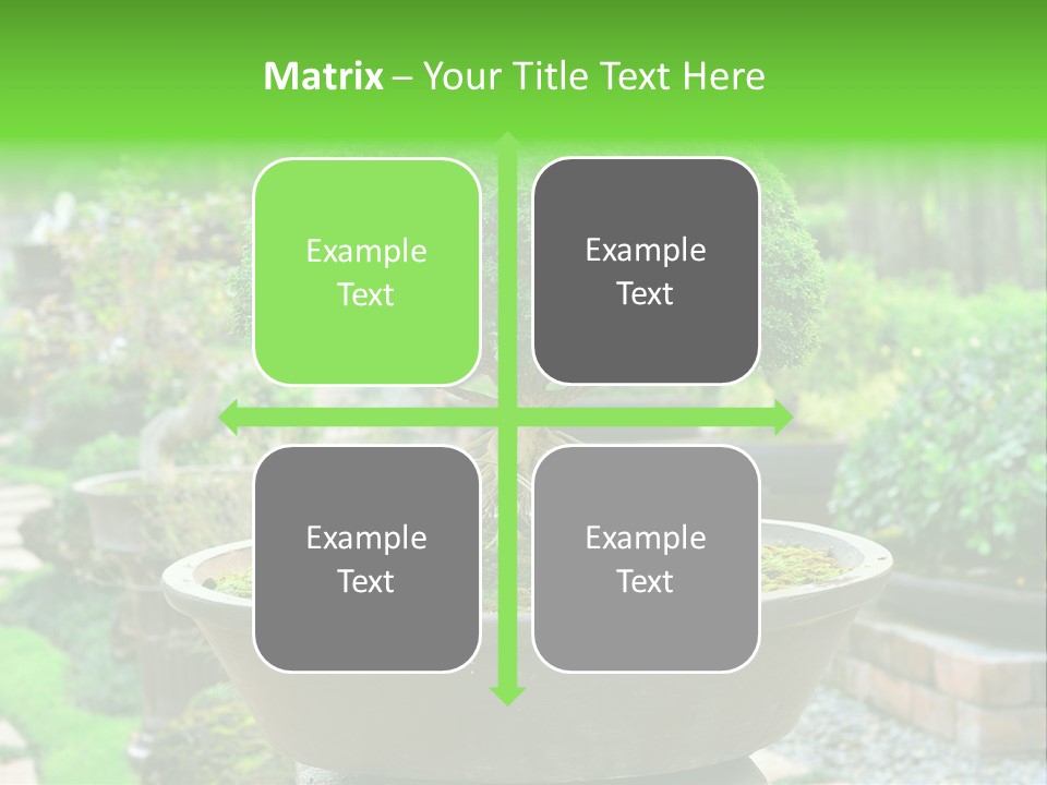 Tropical Green Beautiful PowerPoint Template