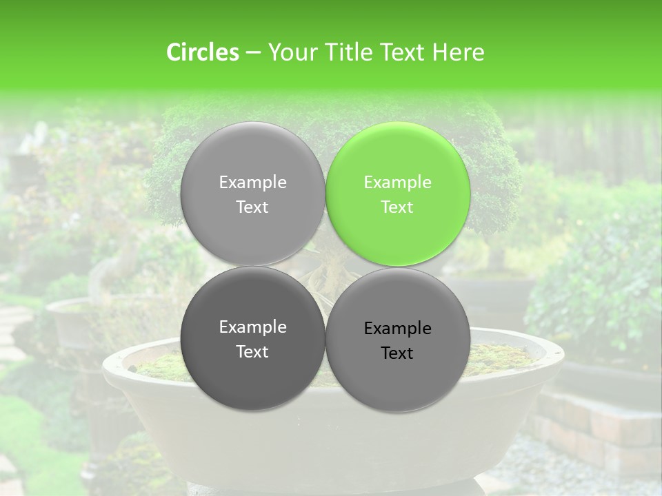 Tropical Green Beautiful PowerPoint Template