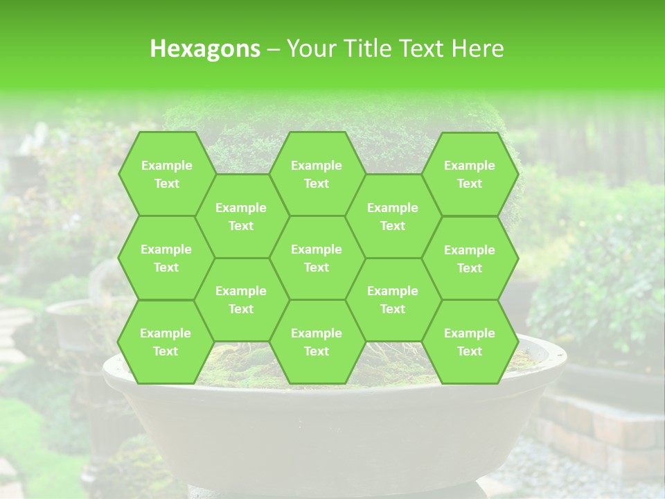 Tropical Green Beautiful PowerPoint Template