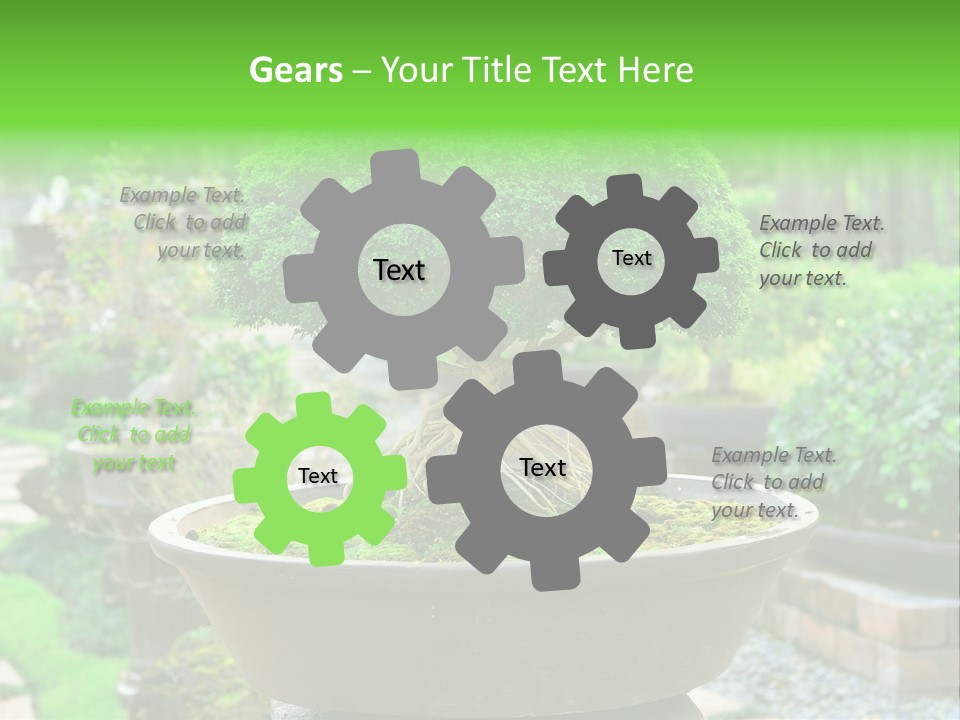 Tropical Green Beautiful PowerPoint Template