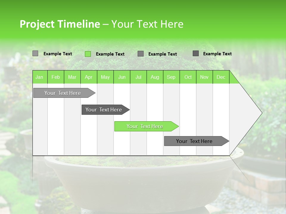 Tropical Green Beautiful PowerPoint Template