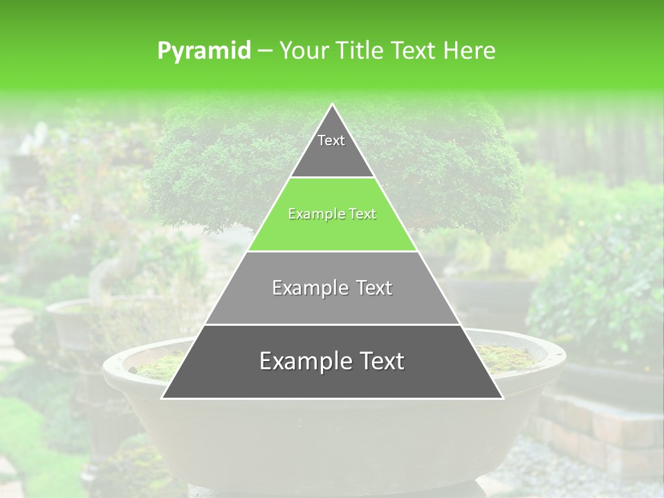 Tropical Green Beautiful PowerPoint Template