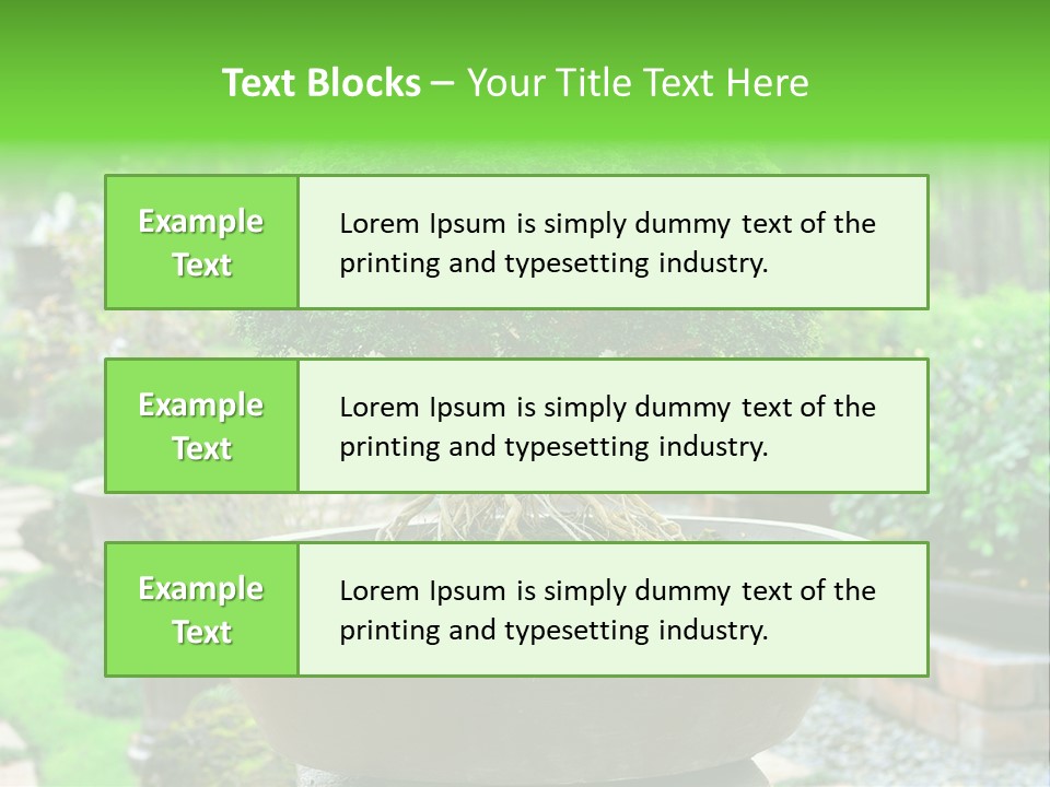 Tropical Green Beautiful PowerPoint Template