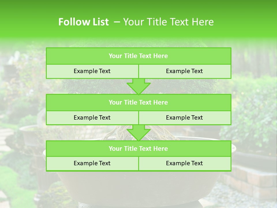 Tropical Green Beautiful PowerPoint Template