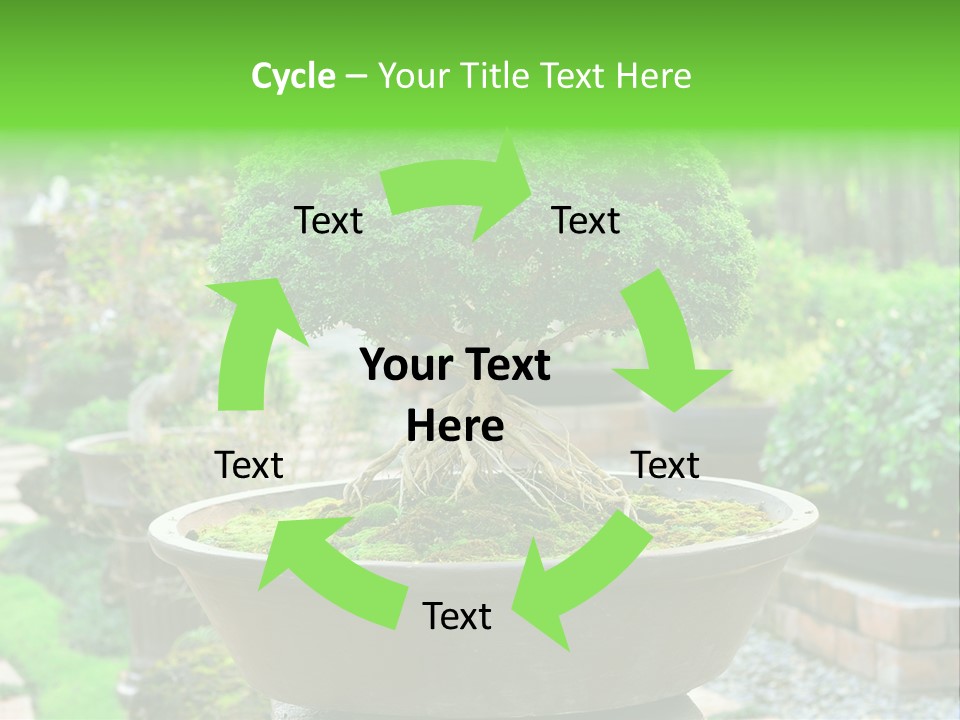 Tropical Green Beautiful PowerPoint Template