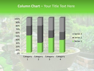 Tropical Green Beautiful PowerPoint Template