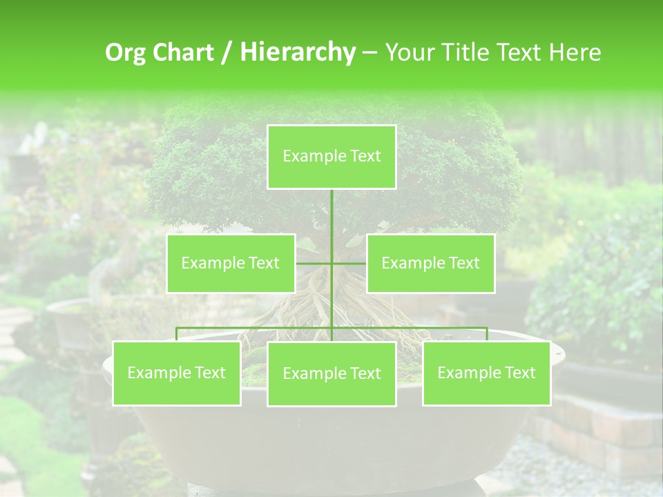 Tropical Green Beautiful PowerPoint Template