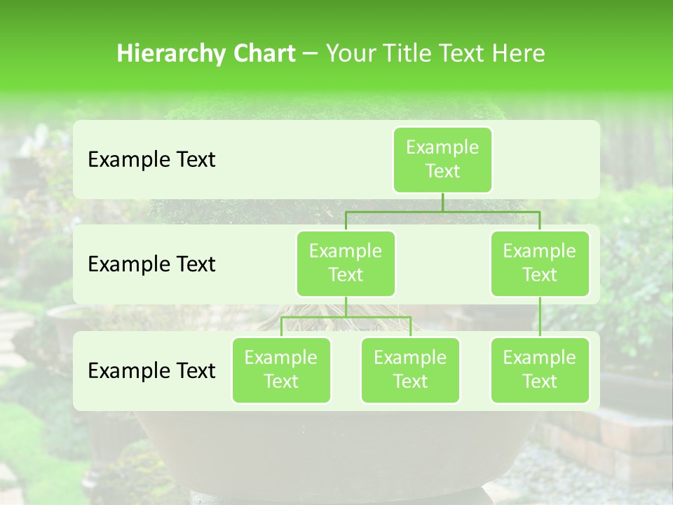 Tropical Green Beautiful PowerPoint Template