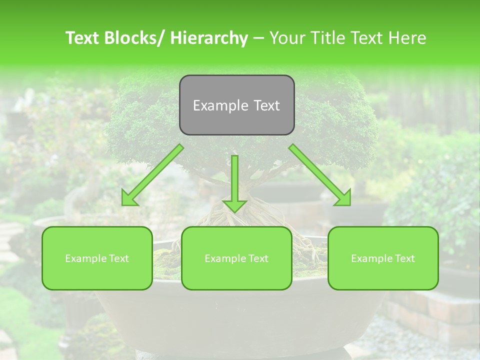 Tropical Green Beautiful PowerPoint Template