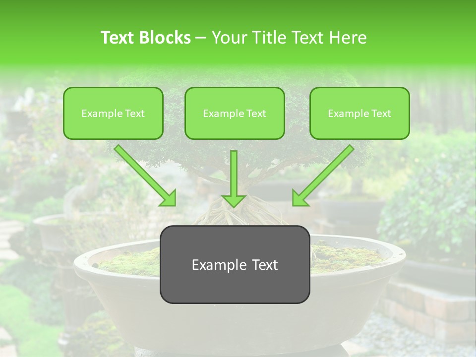 Tropical Green Beautiful PowerPoint Template