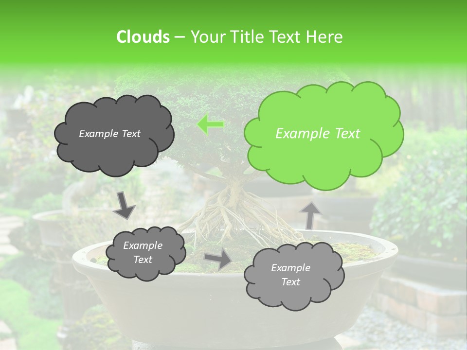Tropical Green Beautiful PowerPoint Template