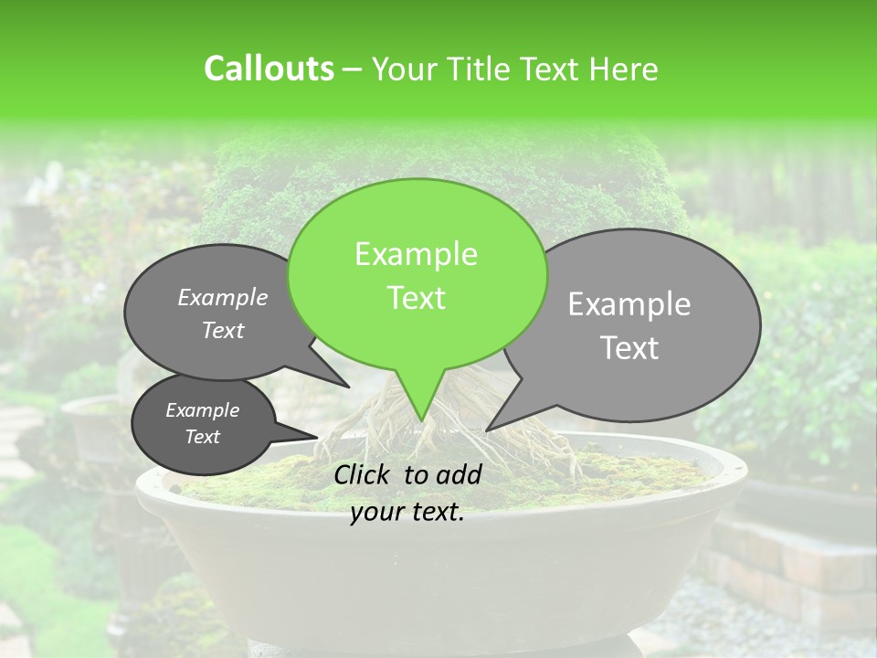 Tropical Green Beautiful PowerPoint Template