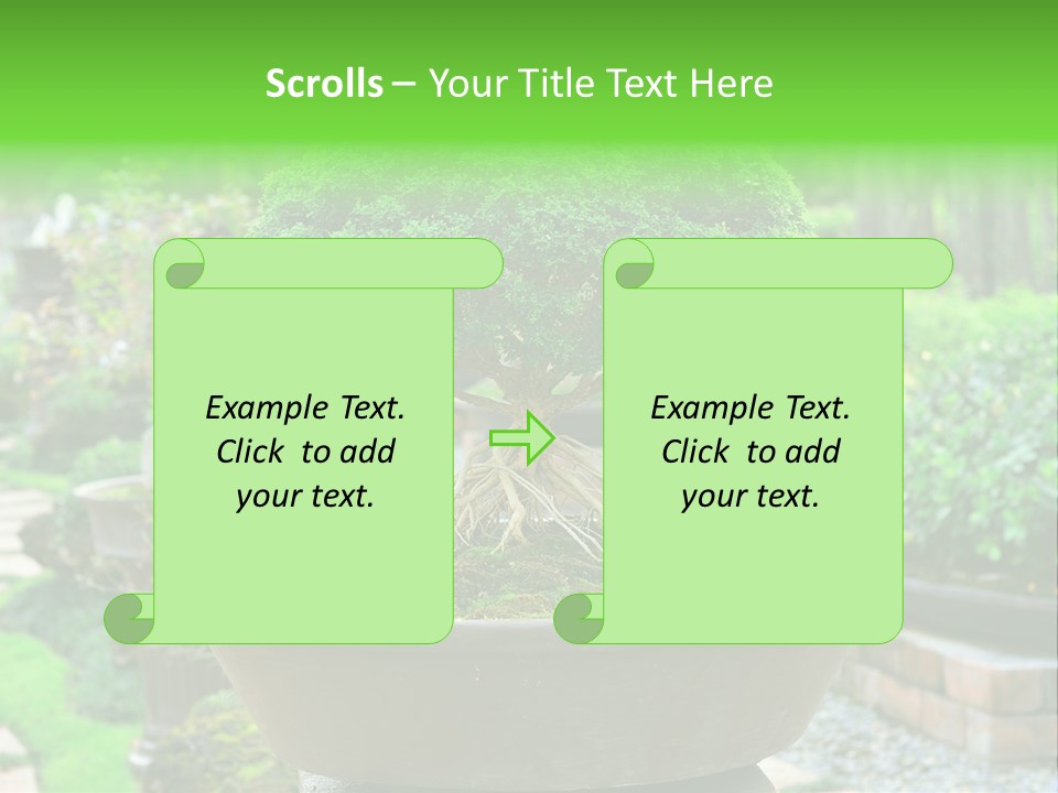 Tropical Green Beautiful PowerPoint Template