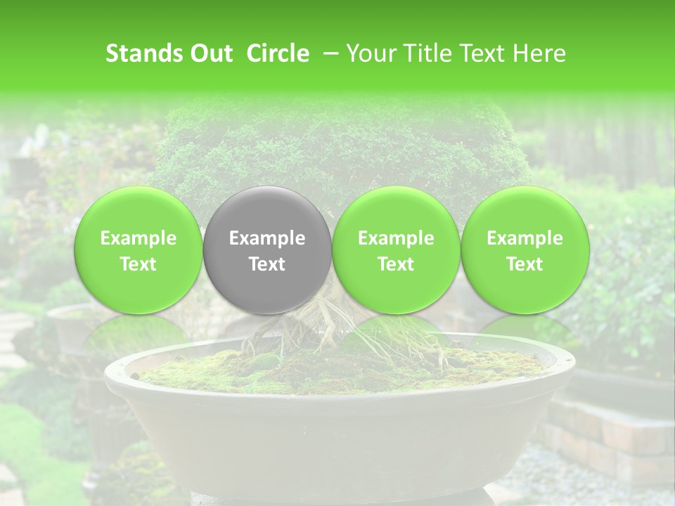 Tropical Green Beautiful PowerPoint Template