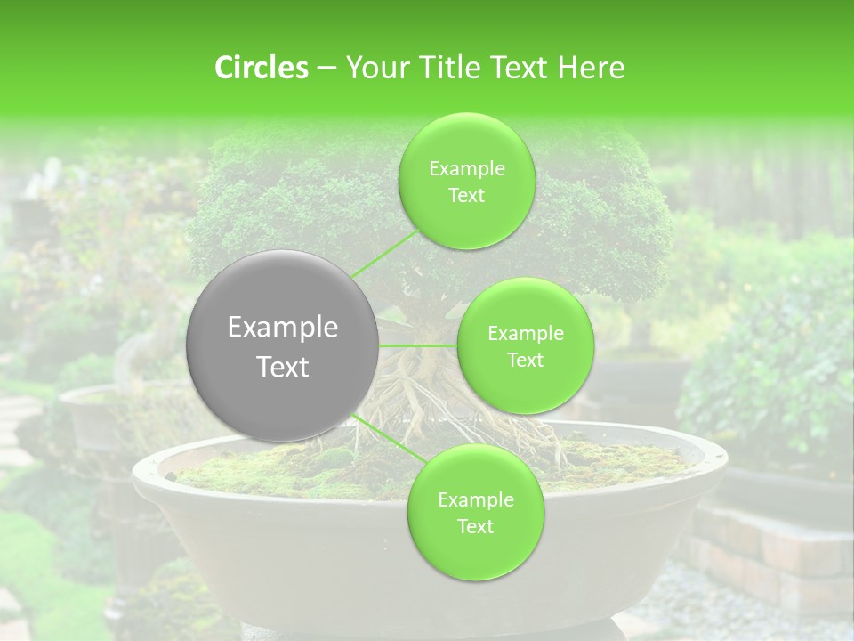 Tropical Green Beautiful PowerPoint Template