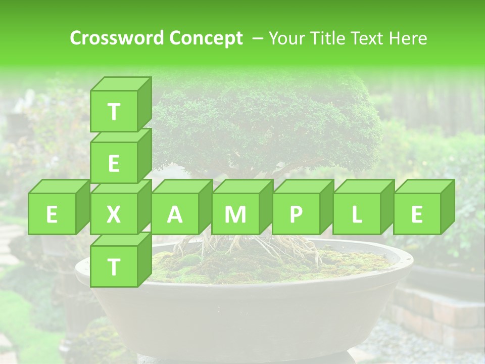 Tropical Green Beautiful PowerPoint Template